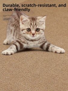 Honghe | Photography Friendly Living Room Carpet
