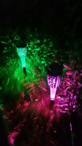 BOSCA LED Solar Garden Lights: Enhance Your Driveway & Backyard Decor