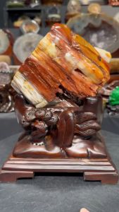 Top quality rare red fossil tree 💯天然玉化树化玉 少量红色玉化所以珍藏价值也相对的高✔️ 红色寓意为: 喜庆、大吉🧧 也搭配着黄白色泽 整体玉化鲜艳美丽👍 🆓附送雕刻实木底座  树化玉高: 14.5cm  宽: 10x10.5cm  净重: 2.3kg 含底座高: 25cm  底座宽: 19x15cm  总重: 3.1kg