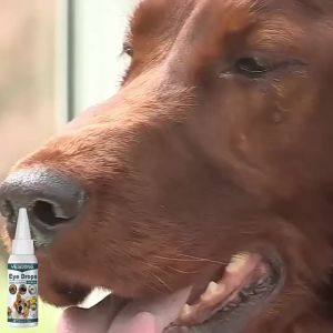 Cataract Eye Drops for Dog Tear Marks Dropping Remover Relieve Eye Itching Keratitis Treatment Antibacterial Pet Eyes Wash Drop