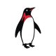 PENGUIN fashion