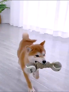 DÂY GẶM BANH TENNIS 2 ĐẦU DÂY THỪNG GẶM ĐỒ CHƠI CHO CHÓ GẶM SẠCH RĂNG，Hình Khúc Xương Cho Chó-ESTLA