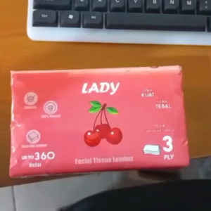 Lady Tisu 360 Lembar – Paket Hemat 10 Pack – Tisu Wajah / Serbaguna