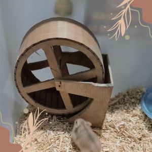 Kincir Wheel Kayu 13cm Hamster Sudut Alami