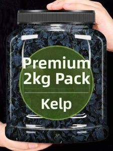 Baby Child Pregnant Women Dried Kelp