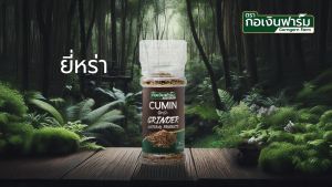 ยี่หร่า 100% ทำอาหาร ช่วยดับกลิ่นคาว หรือ นำไป ถนอมอาหาร Cumin ฝาบด ตรากอเงินฟาร์ม ขนาด 45 กรัม
