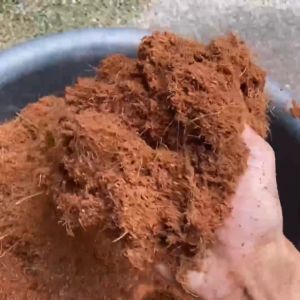 HALUS COCOPEAT 2litre SABUT KELAPA HANCUR 椰丝 椰糠