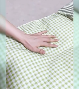 (SG INSTOCK)Pet bed with pillow suitable for cat dog kitten puppies soft and comfortable detachable washable