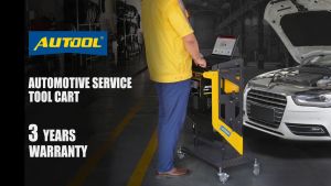 Ready✅ Auto Repair Diagnostic Cart Equipment Storage Car Shop Essentials Workshop Trolley Service Bengkel Tool Garaj