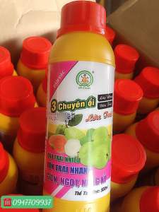 500 ML Phân Bón Vi Lượng 3 Chuyên Ổi Lấy Nhuỵ Đậu Trái Nhiều Lớn Trái  Giòn Ngọt Chắc Ruột Nặng Ký
