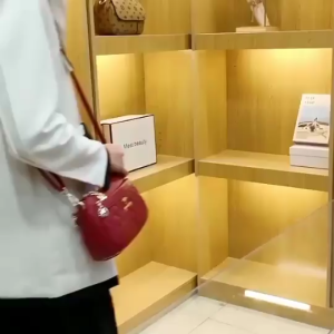 Ling Ling Tas Wanita Gaya Baru 2025 Wanita Mode Mode Dengan Satu Paket Bahu Besar Ibu Berusia Setengah Baya Dengan Mengantongi Bahu FA