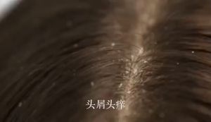 【BUY 1 TAKE 1】Coconut Oil Moisturizing Hair Care Dandruff Shampoo Refreshing Oil Control