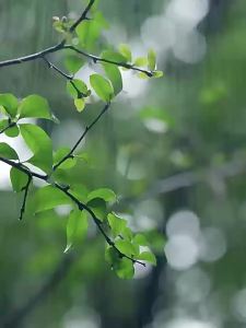 ไดร์เป่าเสื้อผ้าขนาดเล็กพกพาสำหรับเสื้อผ้าเด็กในหอพัก ไดร์เป่าเสื้อผ้าแบบพับได้พร้อมจอแสดงผล