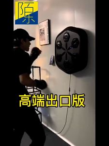 APWIKOGER Mesin Tinju Music Boxing Machine Wall Target Bluetooth - AG5