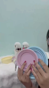 ชามสัตว์เลี้ยงพับได้ ชามให้อาหารสุนัข ซิลิโคนพับได้ พกพาสะดวก ใส่น้ำใส่อาหารน้องหมา แมว มีตะขอ วัสดุนุ่มทำความสะอาดง่าย สะดวกสบายสัตว์เลี้ยงของคุณ พกพาง่าย ซิลิโคนคุณภาพดี ไม่มีอันตราย ใช้ได้ทั้งในบ้านและนอกบ้าน