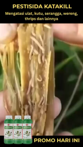 B3G1 - LEBIH EFEKTIF KATAKILL 500ML - Membantu Membunuh Jenis Serangga - Obat Insektisida Pembunuh serangga