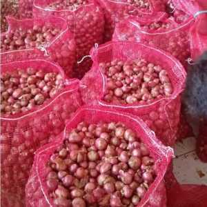 100/250/500 Gram 1 Kg Bawang Merah Kering