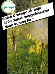 Greengo Baja Air Organik S700 1L/绿多宝病树修复有机肥水 黄叶 干支 树长不大/Rawat Pokok Sakit/Durian Pisang Sayuran