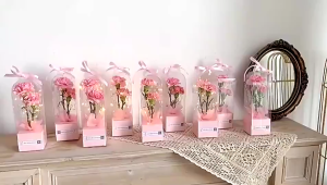 10PCS/SET Flowe Packaging Box Transparent Rose Box Plastic Flower Shop Packaging Box