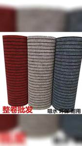 Water Absorbent Anti-slip Door Mat