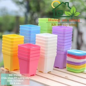 CV7DB - Sét 10 chậu nhựa dầy chất liệu PP trồng sen đá bonsai xương rồng ( không Kèm dĩa lót )