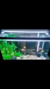 (BERKUALITAS) lampu led gantung aquarium P300400500 20CM30CM506080CM/ LAMPU LED PENERANGAN AQUARIUM