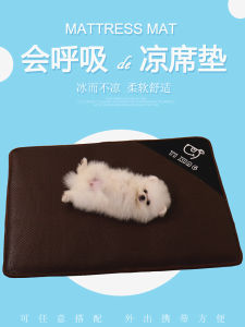 Detachable Pet Mat Teddy Dog Cooling Bite Resistant Summer Pad Cat Sleeping Mat Dog Bed Ice Mat Pet Accessories Cat Supplies