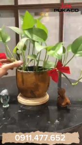 Sơn Gỉ Sét PUKACO hiệu ứng gỉ sét thật 100%