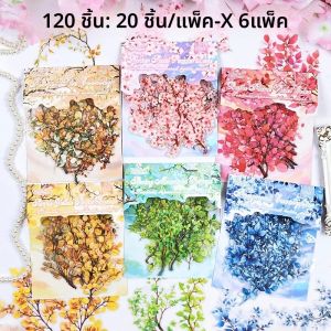 TIANZI 20/120 pcs พืชดอกไม้สัตว์เลี้ยงสติกเกอร์ตกแต่ง Scrapbooking Collage ขยะสมุดบันทึกสติ๊กเกอร์ตกแต่งเครื่องเขียน