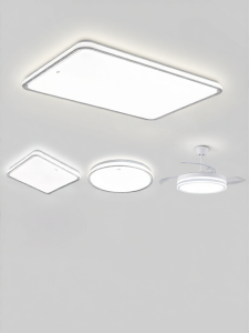 FSL | Full Spectrum Ceiling Light New 2026 Model