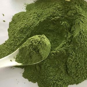 Coloring Edible Pigment Natural Spinach Powder 500g