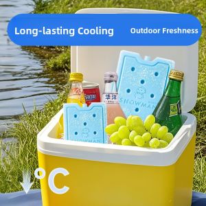 MONLEYTA | Reusable Commercial Refrigerant Gel Packs for Delivery Cooling