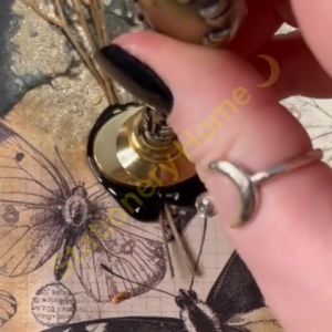 Hộp Hoa Lá Khô Nhiều Màu Sắc Dùng Đóng Dấu Sáp Sealing Wax Craft  Epoxy Resin Thiệp Thư Trang Sức Sổ Journal Scrapbook