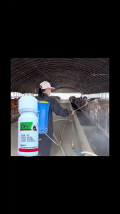 MONQIQI ใช้หนึ่งครั้งในคอกวัว 10 ปีไม่มียุงและแมลงวัน ยาไล่ยุงคอกวัว กำจัดแมลงวัน ยุง เห็บ มด เหา หมัด แมลง อัตราการฆ่า100% ยาไล่แมลงในวัว ฉีดในคอกสัตว์ได้