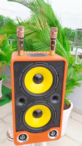 Loa kéo karaoke l2 pro 600w bass đôi 25cm âm thanh cực mạnh 4 đường tiếng sống động micro không dây cao cấp tặng kèm 2 micro uhf kết nối đa năng bluetooth usb hdmi