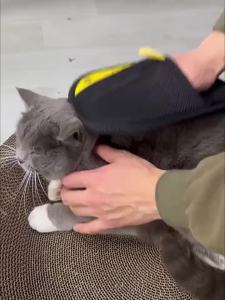 Upgraded Electrostatic Pet Hair Removal Gloves Reusable Grooming Fur Remover Mitt for Dogs Cats Home Pet Care