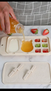 Popsicle Molds Frozen Molds With Lid DIY Home Made Ice Pop Maker Mould Ice Cream Mold Ice Cube Mold