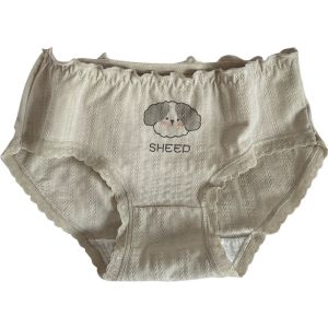 Quần Lót Tam Giác Kháng Khuẩn Bằng Cotton Nguyên Chất Cho Nữ Quần Lót Thoải Mái Dễ Thương Cho Bé Gái Mùa Hè 2023