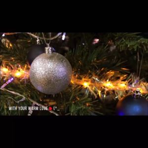 BIN LU 20pcs Christmas Balls 4cm 6cm 8cm Size Options Shiny Glitter White Champagne Gold Red Pink PVC Xmas Tree Decorations for Home Office Party Holiday Decor