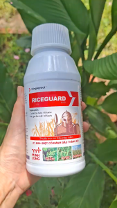 [VTNN TIEN KHOA] RICEGUARD 40 OD 500ml – Trừ Cỏ Gạo Cỏ Chỉ Đuôi Phụng Các Loại Cỏ Hậu Nảy Mầm Trên Lúa