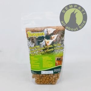 Pakan Lolohan & Anakan Burung Murai Batu