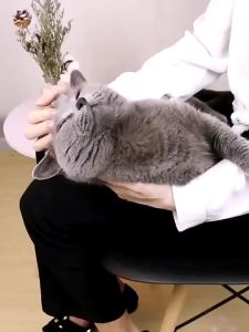 【Ready Stock】 120ML Pet Ear Drop Cleaner Mites Odor Removal Ear Wash Solution Cat Dog Mite Removing Ear Drops Pets Cleaning Accessories