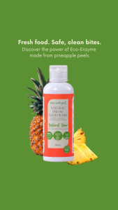 Clean Earth Natural Food Wash Natural Sour 100ml - Plant-Based Formula with Fermented Pineapple Enzymes