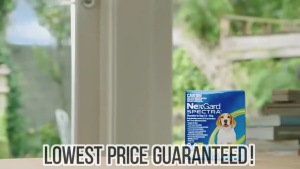 Nexgard Spectra Anti Tick & Flea for dogs w/ Sticker by BI Chewable Meds