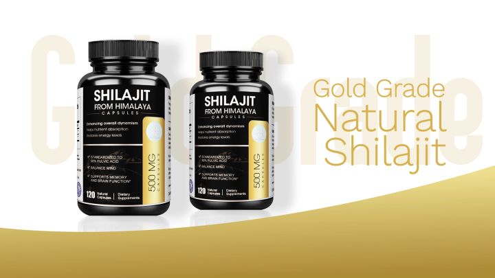 Shilajit Pur De L'Himalaya En Résine - 20g, 70% Acide Fulvique, Complément Alimentaire Naturel