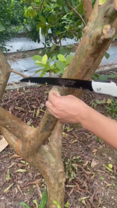 Cưa Gập Cầm Tay Lưỡi Cưa SK5 Nhật Bản Cưa Cành To Thân Gỗ - Dụng Cụ Nông Nghiệp