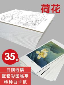 Lotus White Drawing Draft Circular Fan Fine Pen Chinese Painting Copy Card Picture Album Childrens Painting Book Introduction Drawing Book Hook Book