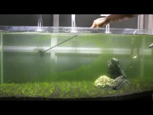 ไม้ขัดตู้ปลาชุดทำความสะอาดตู้ปลา ไม้ขัดตู้ปลา ขูดตะไคร่ ใช้สำหรับขูดตะไคร่ในตู้ปลา มีใบมีดแถมฟรี2ใบ