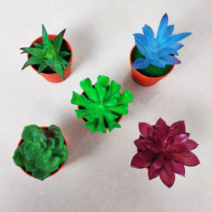 Sampai7an PBP64: Tanaman Hias Pot Bunga Plastik Cantik Model Kaktus Sukulen Mini
