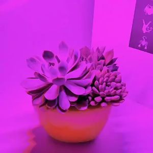LED Plant Grow Light USB 5V 21 LED Red + Blue - Lampu Tanaman